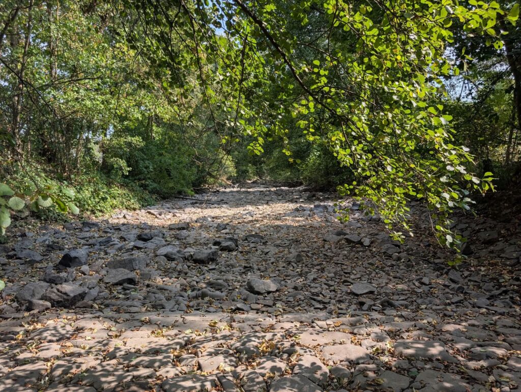 Trockengefallenes Flussbett der oberen Lahn bei Wallau